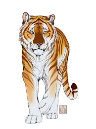 Check spelling or type a new query. Tigre Dessin Animal Drawings Tiger Art Drawing Big Cats Art