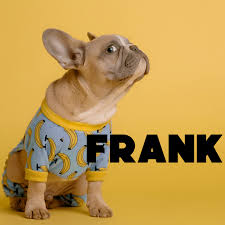 Frank Insurance Quote