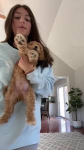 brewsters first appearance