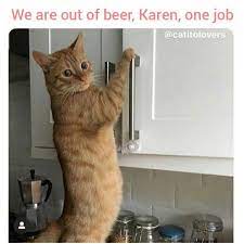 U Only Had One Job Karen Cat Celebrating Funny Animal Pictures Cats