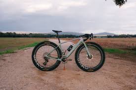 Image result for Orbea umbracula