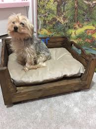 Miss Kedi Tirmalamasi Adli Kullanicinin Bilgi Ve Siparis 0507 664 22 22 Panosundaki Pin Kedi Kopek Kopek Kedi