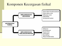 Pergerakan adalah hasil kucupan otot. Pengenalan Kepada Kecergasan Fizikal Ppt Download
