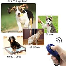 Cercare la migliore selezione di cazzi di gomma produttori e prodotti italian economici e di alta qualità cazzi di gomma a alibaba.com per italian speaker mercato in alibaba.com In Rete Regolabile E Confortevole Rantow Collare Per Cani Piccoli Medi Grandi Colore Arancione Sicuro Morbido E Resistente Cablaggi Prodotti Per Animali Domestici Nsb Group Com