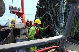Welcome to o'hara & company, certified public accountants. Alaska Fishing Jobs O Hara Corporation Fishing Jobs In Alaska