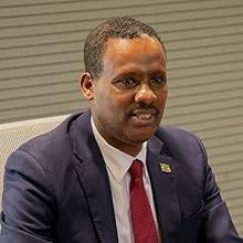 Winning Beyond Borders: Achieving Success at Work in a New Country:  Akinsulire, Tola: 9789787651179: Amazon.com: Books