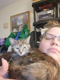 If you see my girl Please call 769 286 9151 or message me. Last seen