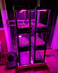 Check spelling or type a new query. Diy Led Grow Light Shelves Album On Imgur