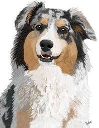 Resultat De Recherche D Images Pour Comment Dessiner Un Chien Berger Australien Comment Dessiner Un Chien Berger Australien Chiot Berger Australien