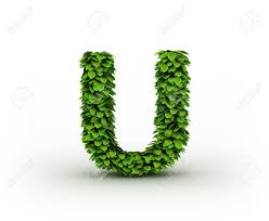 The english alphabet consists of 26 letters: Letter U Alphabet Of Green Leaves Stock Photo Picture And Royalty Free Image Image 12668910