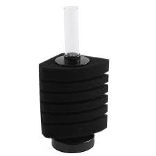 They provide the beneficial bacteria needed to keep the tank healthy and also promote good gas exchange. Fish Tank Aquarium Breeding Fry Betta Shrimp Bio Sponge Filter Walmart Canada