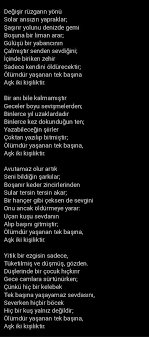 ask iki kisiliktir ataol behramoglu kisilik ask ikiz