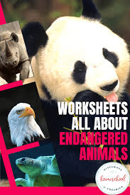 Worksheets All About Endangered Animals Homeschool Giveaways In 2020 Endangered Animals Endangered Animals Project Endangered Animals Activities