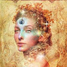 Hardcover · Paperback Taschenbuch