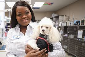 Battling Veterinary Burnout: How BluePearl Supports Mental Health &  Well-Being in Our Hospitals | BluePearl