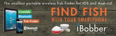 Meter ps01 110lb/50kg electronic balance digital fishing postal hanging hook scale (bundle) 4.3 out of 5 stars 45 $99.95 $ 99. Amazon Com Reelsonar Cgg My Ibobber Ibobber Wireless Bluetooth Smart Fish Finder For Ios And Android Devices Classic Small Electronics