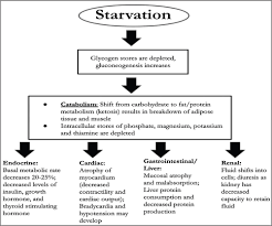 Image result for Refeeding Syndrome