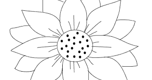 Gambar tersebut juga lebih mudah ditiru secara manual sebagai bahan latihan kalian dalam menggambar. 81 Gambar Bunga Matahari Belum Diwarnai Paling Hist Gambar Pixabay