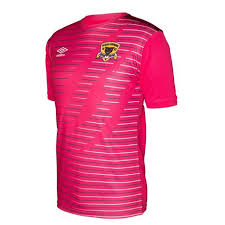 Flashscore.com offers black leopards livescore, final and partial results, standings and match. Black Leopards Fc Alternate Replica Jersey 19 20 Pink Buy Online In South Africa Takealot Com