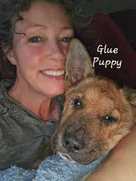 Good Night, Noodle. 🌙 We've had a few tough weeks with fundraisers, which  is a bit scary when our bank account is near "E" and we excel at taking in  medical cases.