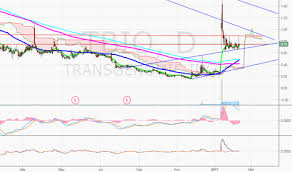 Tbio Stock Price And Chart Nasdaq Tbio Tradingview