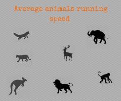 Average Animals Running Speed All Animal Facts
