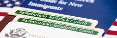 We did not find results for: I M A Green Card Holder Should I Apply For Us Citizenship Sulekha Tech Pulse