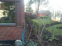 Image result for site:byggahus.se plantering