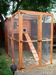 A cat enclosure is an ideal way to provide your cat a healthy outdoor experience, although the expense of having a cat enclosure installed is too great an obstacle. Outdoor Cat Enclosures For Sale For 2020 Ideas On Foter Outdoor Cat Enclosure Diy Cat Enclosure Cat Playground Outdoor