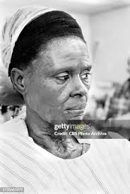 31 Miss Jane Pittman Stock Photos, High-Res Pictures, and Images