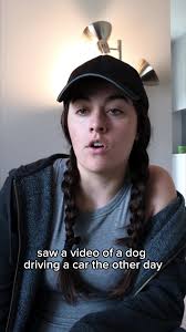 If dogs can drive, pigs can fly #dadjoke #skit #comedy