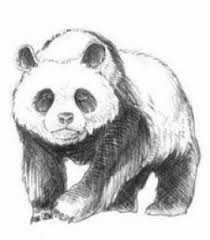 Verwendest du primärfarben, kannst du ganz einfach einen braunton deiner wahl erzeugen und so viele schöne und individuelle kunstwerke erschaffen. Panda Zeichnen Anleitung Dekoking Panda Zeichnen Zeichnen Anleitung Panda Zeichnung