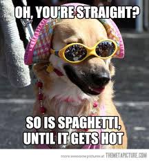 Pin By Benjamin V On Funny Funny Animal Pictures Funny Pictures Funny Animals