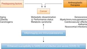 As these masses continue to grow uncontrollably (often at undetermined and varying rates), they may at the beginning stages of lung cancer in dogs, many show no clinical signs or vague clinical signs attributable to the disease. The Immuno Oncological Challenge Of Covid 19 Nature Cancer
