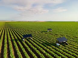 Image result for Agricultural Yellow 2000 Fleet