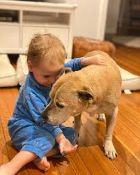 Caleb Schembri (@cazshem) • Instagram photos and videos