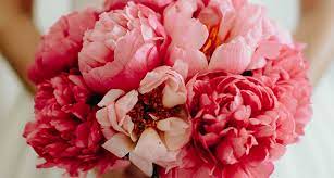 There is no doubt that wedding flowers are an important feature of a wedding. The 10 Most Popular Flowers For Weddings