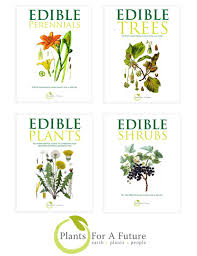 Image result for Gladiolus unguiculatus