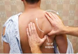 Image result for Shoulder Relocation Maneuvers