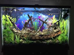 Bring your aquarium to life with vibrant colors and realistic coral. Photo 1 Ship Wreck Koi Angel Platinum Angelfish Redta