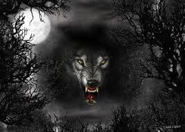 Beautiful Black And White Screensaver Error Page Shadow Wolf Wolf Wallpaper Wolf Photos