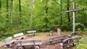 Great savings on hotels in münsingen, switzerland online. Munsingen Friedwald Die Bestattung In Der Natur