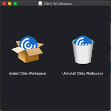 Citrix workspace app lets you access your saas, web apps, mobile, virtual apps, files, and desktops to help you be as productive on the go as you are in the office. Installing The Citrix Workspace For Desktop Ucl On A Machine Running Mac Os X Information Services Division Ucl University College London