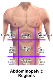 Partes Del Cuerpo En Inglés | Body Parts | Parts Of The Body - Youtube