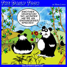 Panda Endangered Species Cartoon Daily Cartoon Cartoon Animals Cartoon