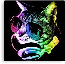 Rainbow Music Cat Canvas Print Cat Posters Rainbow Music Cats