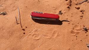 Image result for Aristida stipitata