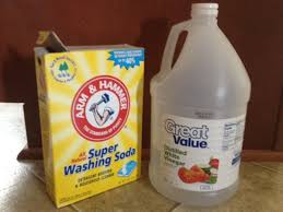 Dampen a cloth with vinegar and rub it gently onto a small area on your carpet. A Natural Alternative To Shampooing Your Carpet Dengarden