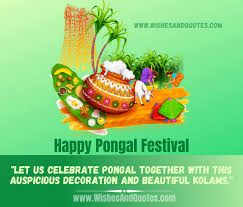 See more ideas about pongal greeting cards, happy pongal, happy pongal wishes. Happy Pongal 2021 Best Wishes Quotes Messages For Pongal Festival