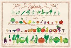 9 Septembre1 Jpg 1795 1217 Fruits Et Legumes De Saison Calendrier Fruits Et Legumes Fruits Et Legumes